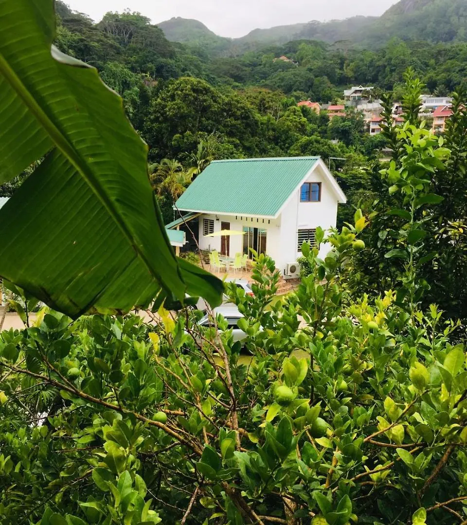 *** Maison d'hôtes Loversnest Self Catering Anse aux Pins Seychelles